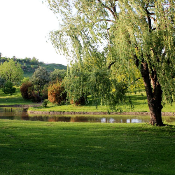 Centennial Park Langford