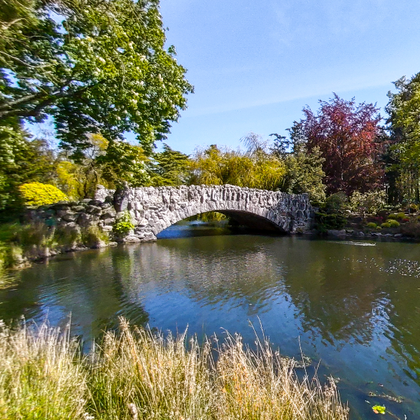 Beacon Hill Park