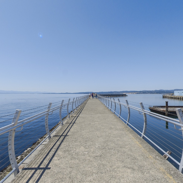 Ogden Point Breakwater