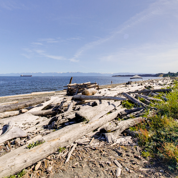 Esquimalt Lagoon