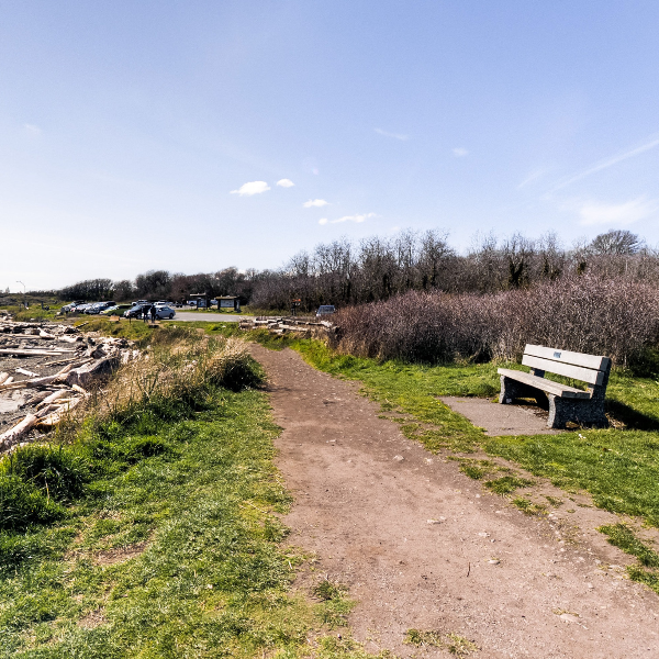 Cattle Point