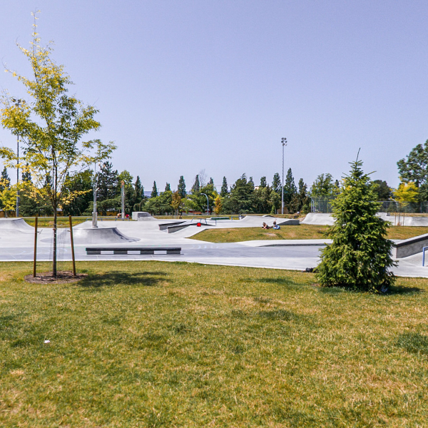 Topaz Park