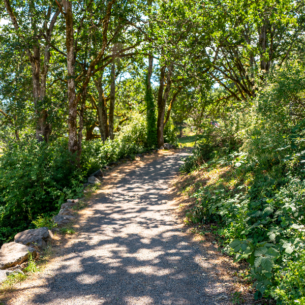 Westshore Walkway Park