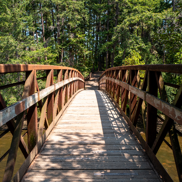 Cuthbert Holmes Park