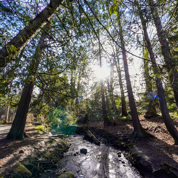 Reay Creek Park